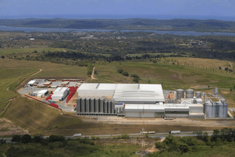 Grupo Petropolis